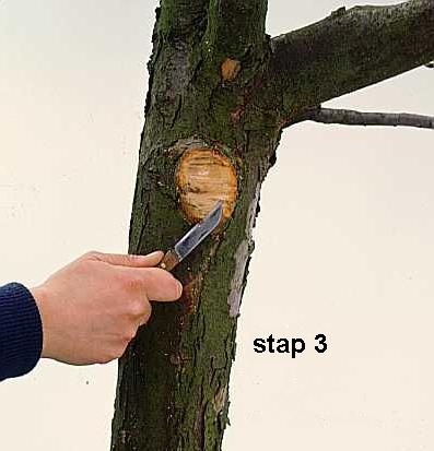stap3